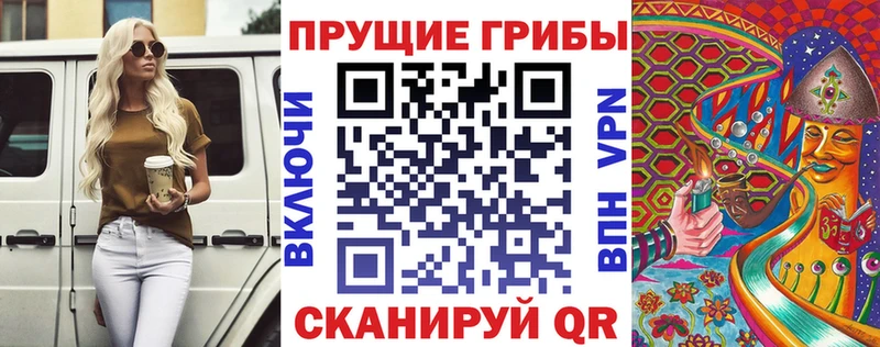 Галлюциногенные грибы мицелий  Купить закладки  Шали